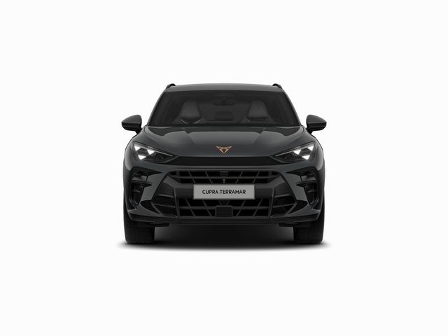 Terramar 1.5e-Hybrid DSG VZ AHK