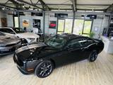 Dodge Challenger 3.6 SXT*DEUTSCH*G.SHD*XENON*KAM*ALPIN - Dodge Challenger: Sxt