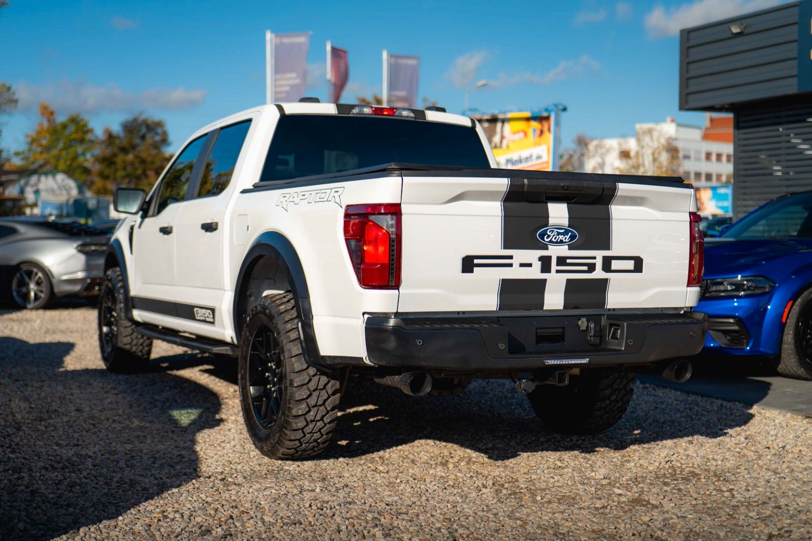 Fahrzeugabbildung Ford F150 5.0L V8 4x4 Offroad SuperCrew RAPTOR 19%