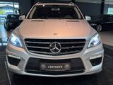 Mercedes-Benz ML63 AMG Soft Kamera Memory Luft LED ACC Sthzg - scheckheftgepflegte Mercedes ML 63 AMG