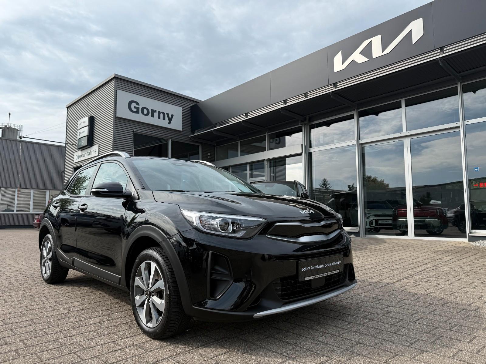 Kia Stonic Vision 1.2 STD*GJR*Apple*Android