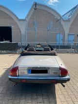 Jaguar XJS V12 Cabrio - BJ 1988 - silber - Vollleder - Jaguar XJS: Coupe