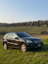 Mercedes-Benz ML 320 CDI 4MATIC - - Mercedes-Benz ML 320: Panoramadach