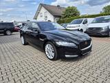 Jaguar XF Prestige Leder, GSHD, Navigation, Rückfahrkam - Jaguar Gebrauchtwagen von 2019