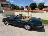 Jaguar  XJS 6.0 V12 Facelift - seltene 6-Liter-Ikone - Jaguar aus 1993