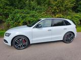 Audi SQ5 3.0 TDI plus tiptronic quattro - - Audi SQ5 Gebrauchtwagen in Stuttgart