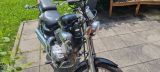 Yamaha XV535 Virago mit repariertem Unfallschaden! - Offers matching your search criteria