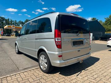 Mercedes Viano - 4