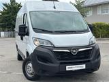 Opel Movano C Kasten HKa L2H2 3,5t Edition Sthz. - Opel Movano: 2.5