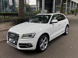 Audi SQ5 Bang&Olufsen Pano ACC MTM - Audi SQ5 in Ludwigshafen