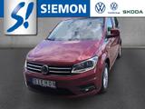 Volkswagen Caddy 2.0 TDI Comfortline Rolli-Umbau SHZ GRA  S - VW Caddy Gebrauchtwagen in Münster