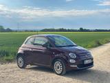 Fiat 500 0.9 TwinAir Lounge | 1.Hand | TÜV neu - Fiat 500: Twinair Lounge
