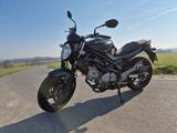 Suzuki Gladius 650