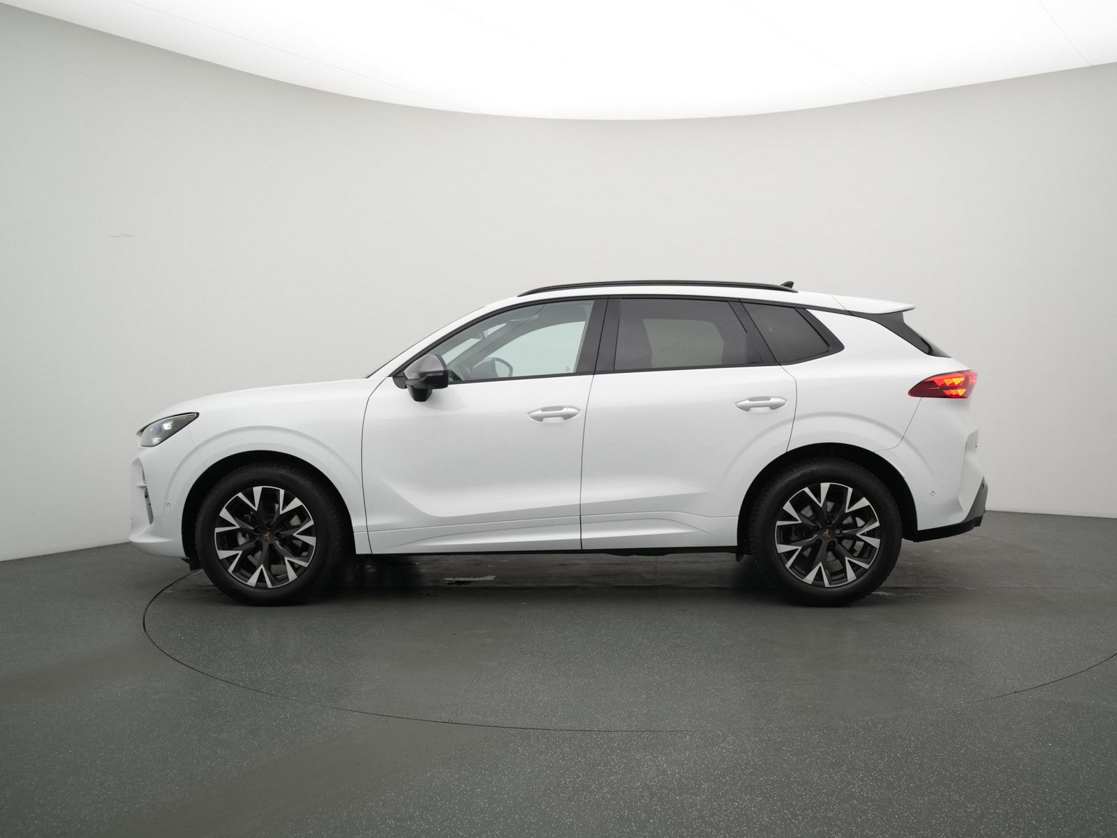 Cupra Terramar - Bild 15