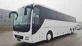 MAN R 08 Lions Coach/59 S+R/460PS/LIFT/TOP!!! - Angebote