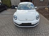Volkswagen VW Beetle 1.2 TSI, 105 PS, TÜV neu, 101.000 km - VW Beetle Gebrauchtwagen in Bremen