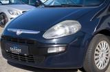 Fiat Punto Evo MyLife - Fiat Punto Evo Gebrauchtwagen