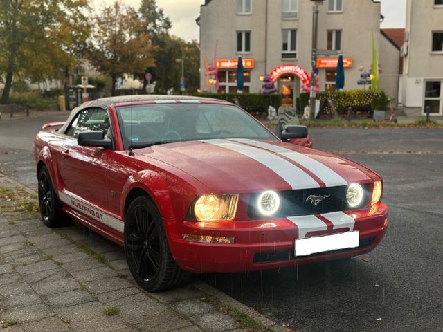 Ford Mustang Cabrio V8 GT Premium SHAKER L...