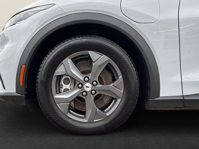 Ford Mustang MACH-E Basis ACC+Klima+Navi+Winter-Paket