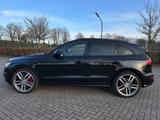 Audi SQ5 3.0 TDI plus tiptronic quattro - - Audi SQ5 mit Diesel-Antrieb: mit Apple Carplay