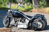 Harley-Davidson EVO Softtail CustomBike  - HARLEY-DAVIDSON EVO