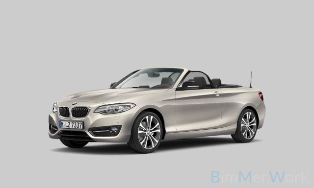 BMW 220d Cabrio Sport Line SAG Navi-Pro Leder Memory