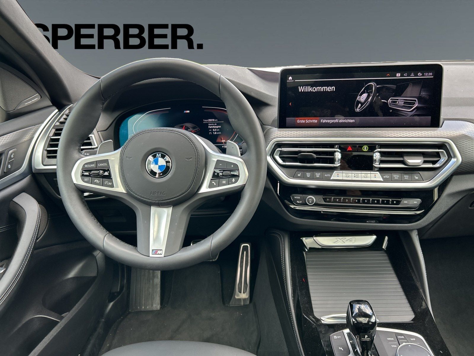 BMW X4 - Bild 16