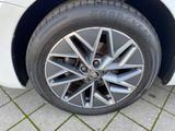 Skoda Octavia Combi 2.0 TDI DSG Tour beheiz. WSS - Skoda Octavia: Tour TDI