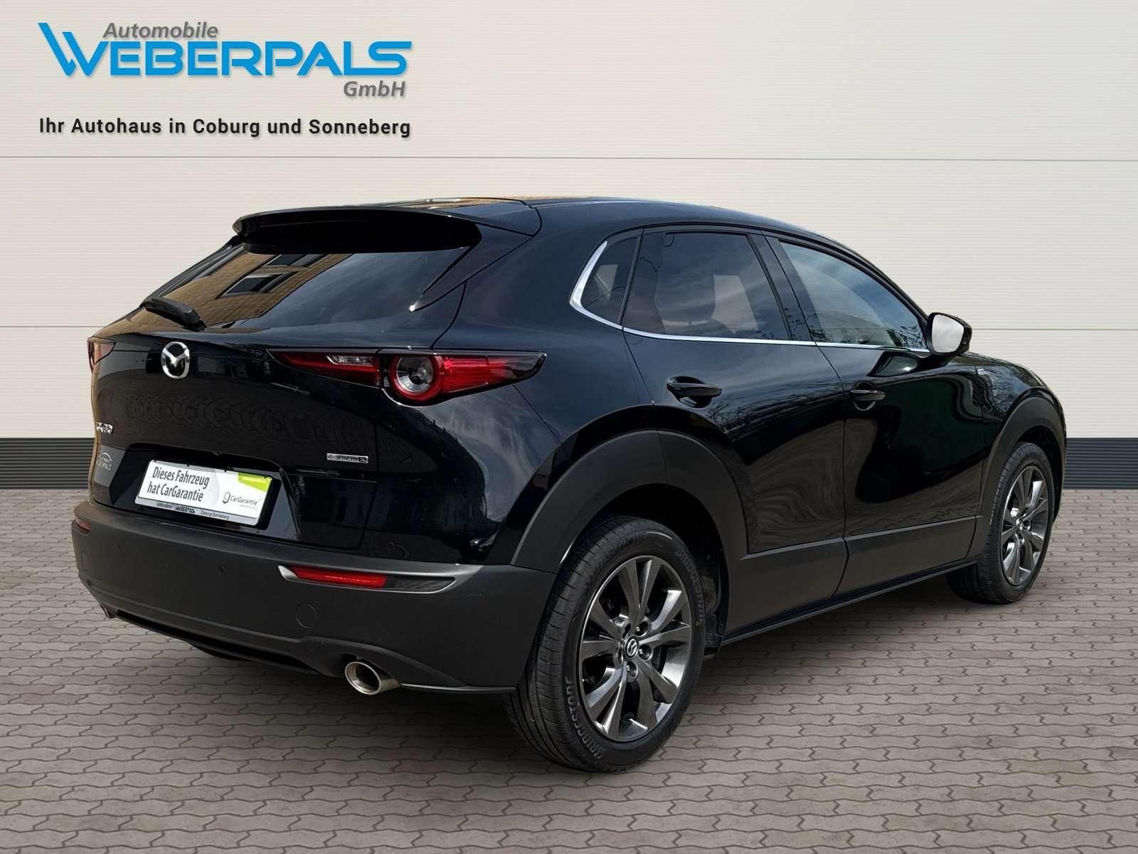 Mazda CX-30 Selection 2WD-BOSE-360 KAMERA-NAVI-SITZHEI