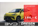 BYD Dolphin Surf Boost-Bestellfahrzeug/Navi/Rückfahr