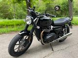 Triumph Speed Twin 900, Garantie bis 5/28, Sonderfarbe - TRIUMPH 5T SPEED TWIN