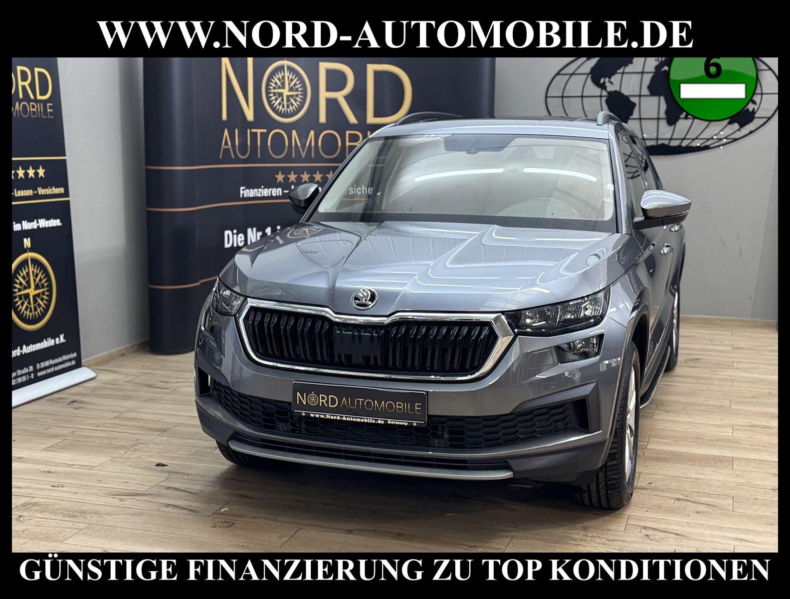 Skoda Kodiaq Ambition 2.0 TDI DSG Leder/AHK/Trittbrett