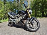 Honda Hornet CB600F PC36 - Offers matching your search criteria