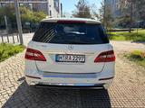 Mercedes-Benz Mercedes ML 350 CDI AMG Line | TÜV NEU | 2013 - : Mercedes Ml