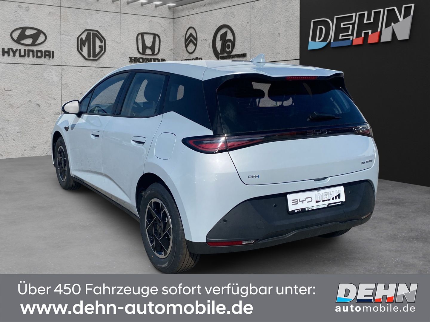 BYD DOLPHIN