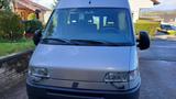 Fiat Ducato 2,8 JTD nur 149Tkm, 1.Hand, Vollauss - Fiat Ducato Gebrauchtwagen in Stuttgart