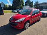 Peugeot 206 + Basis - Peugeot 206: Rot