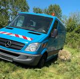 Mercedes-Benz Mercedes Sprinter 316 - Mercedes-Benz Sprinter mit Benzin-Antrieb