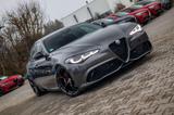 Alfa Romeo Giulia Veloce 2.0 Q4 *tief*20 *Ragazzon*Carbon - Alfa Romeo Giulia: Veloce Ti