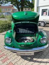 Volkswagen Käfer - Volkswagen Käfer: Grün