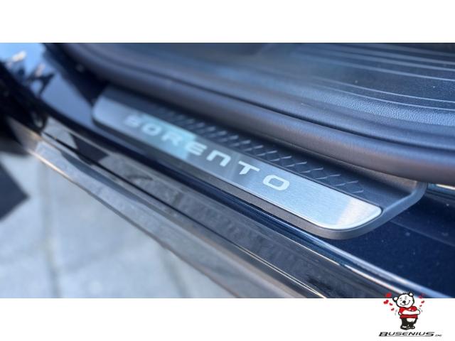 Kia Sorento 2.2 CRDI Platinum 4WD 7-Sitzer +AHK+Napp