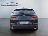 Alfa Romeo Stelvio Super Q4 2.0 Turbo Sportpaket AD Navi Di - Alfa Romeo: Sport