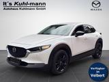 Mazda CX-30 2.0L e-SKYACTIV G 122PS AL-HOMURA PRE-P - Mazda CX-30 in Wuppertal