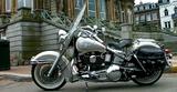 Harley-Davidson FLSTN Softail Special