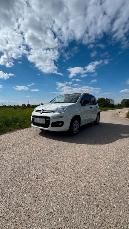 Image of Fiat Panda