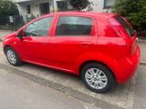 Fiat Punto - Fiat Punto in Frankfurt (Main)