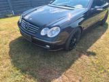 Mercedes-Benz Mercedes Benz CLK 500 Cabrio - Mercedes-Benz CLK 500: Roadster