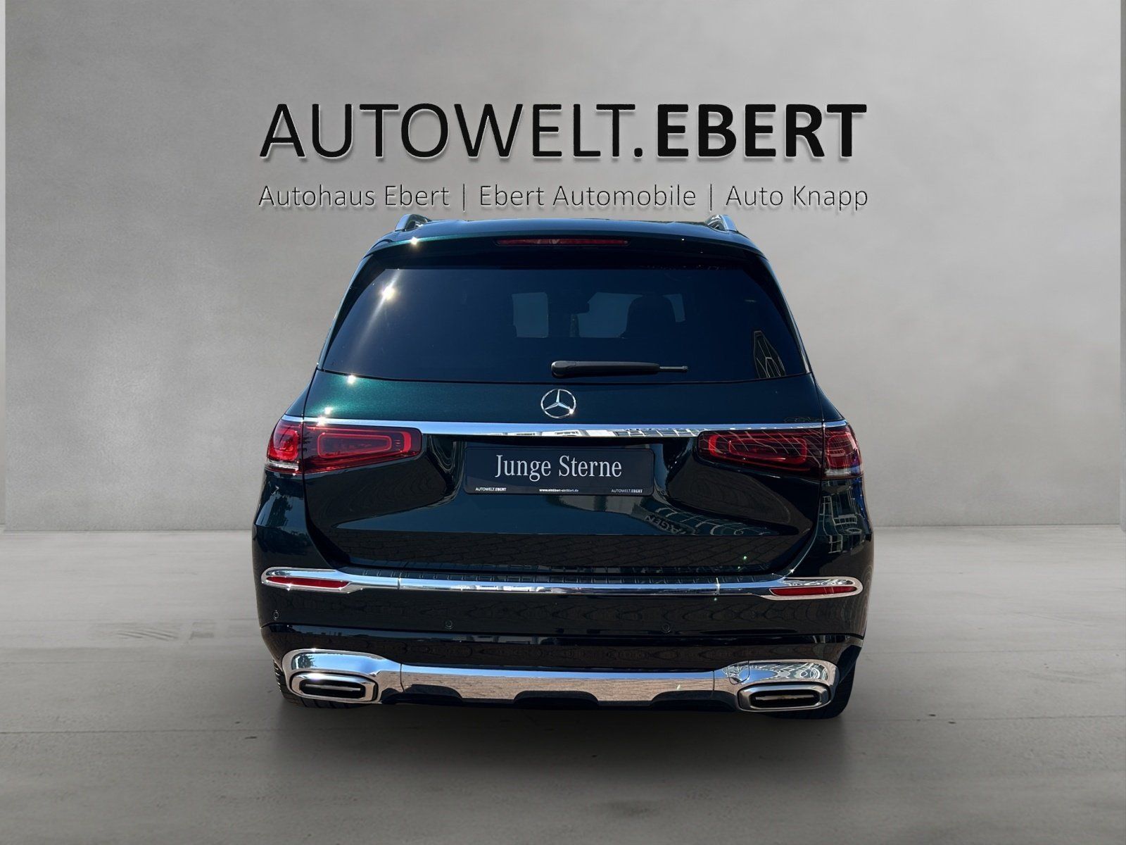 Fahrzeugabbildung Mercedes-Benz Mercedes-Benz GLS 600 Maybach VOLL! First Class