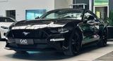Ford Mustang GT Fastback 1.Hand|Deutsch|MagneRide| - Ford Mustang: Fastback
