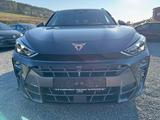 Cupra Terramar 1.5 eTSI *DSG*AHK*LED*SHZ*LED*ACC*PDCvo - Cupra Terramar mit Benzin-Antrieb: Schwarz